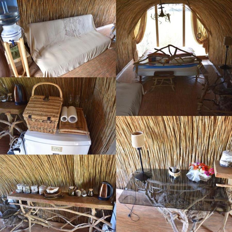 Bebru Maja - Beaver House Usma Exterior photo