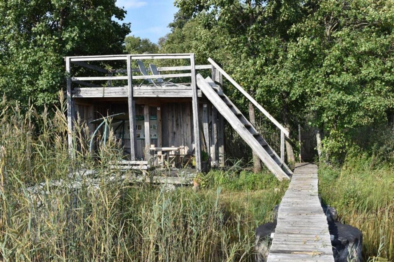 Bebru Maja - Beaver House Usma Exterior photo